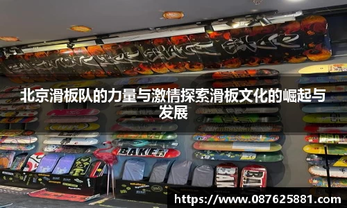 3377体育APP