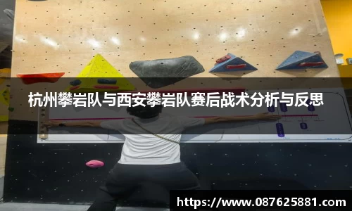 3377体育