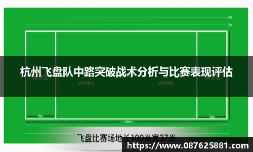 3377体育