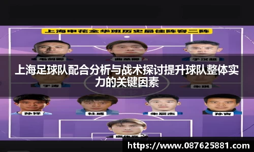 3377体育官网